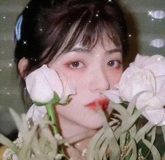 华丽一族